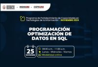 PUBLICIDAD RSDS UNI / Programación Optimización de Datos en SQL _ 25 noviembre