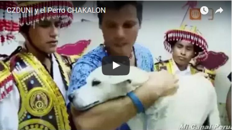 Mascota del Conjunto de Zampoñas y Danzas de la ‪‎UNI recibió la visita del Dr. VET de América Televisión