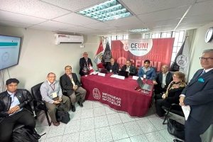 Elecciones Complementarias 2025 se...